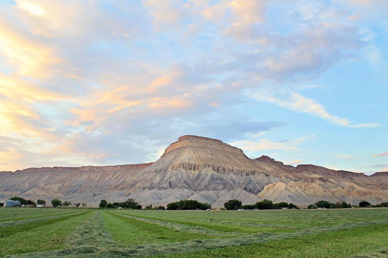 Holiday Inn Express Hotel & Suites Grand Junction By Ihg Esterno foto